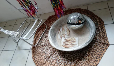 Exposição “1 Clímax para 1 Bicho de Casco” Provoca Reflexão Sobre a Crise Ambiental na Galeria do Largo