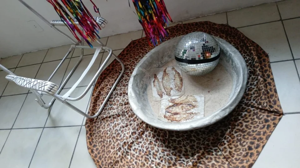 Exposição “1 Clímax para 1 Bicho de Casco” Provoca Reflexão Sobre a Crise Ambiental na Galeria do Largo