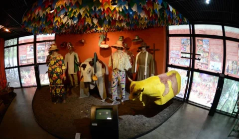 Museu em Manaus apresenta peculiaridades da região norte