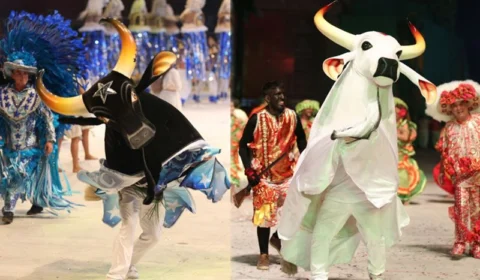 Confira as datas dos ensaios dos bois Caprichoso e Garantido.