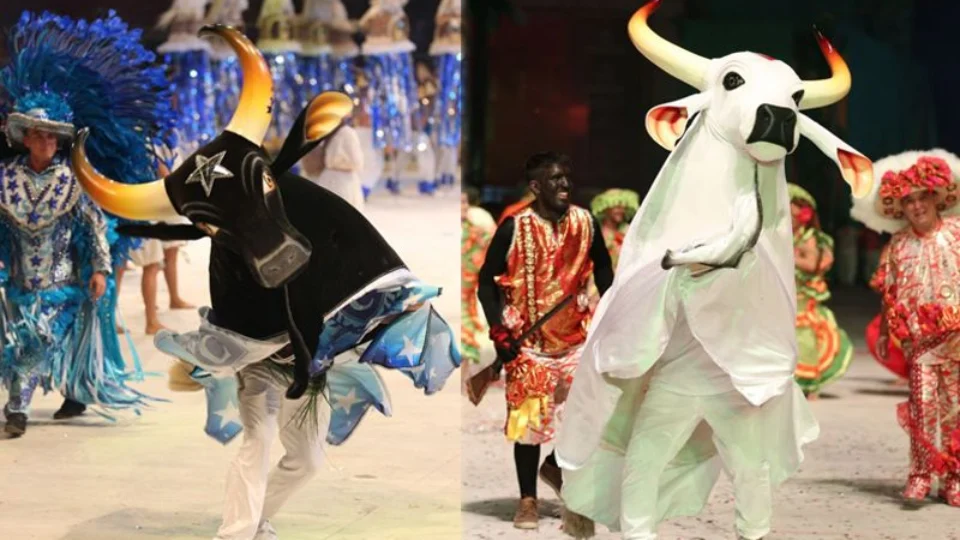 Clássicos de Garantido e Caprichoso animam o Parque Rio Negro neste domingo em Manaus