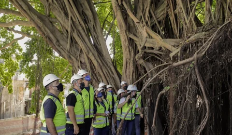 Parque das Araras – Centro de Manaus ganha novo ponto turístico