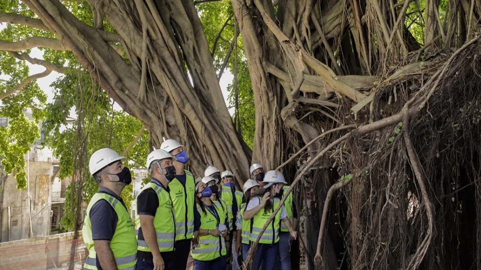 Parque das Araras – Centro de Manaus ganha novo ponto turístico