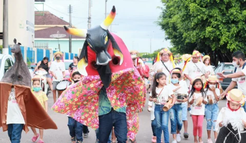 Ruas de Maués ganham desfile folclórico de bois tradicionais da cidade