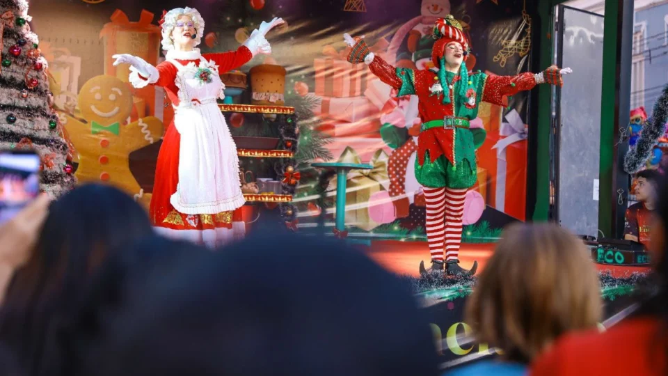 Cadastro Estadual de Cultura já está aberto para projetos com temática natalina