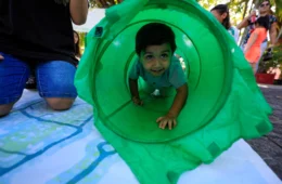 Festival de Férias 2025 tem início nesta quarta-feira no Palacete Provincial