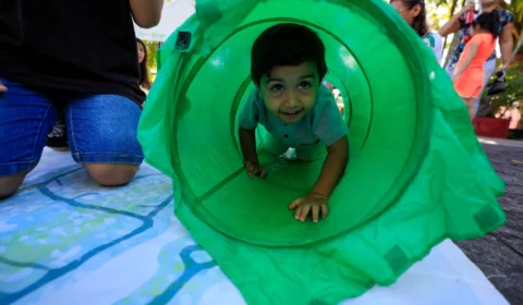 Festival de Férias 2025 tem início nesta quarta-feira no Palacete Provincial