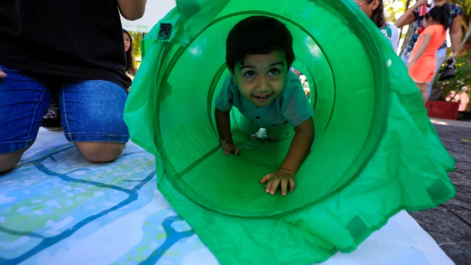 Festival de Férias 2025 tem início nesta quarta-feira no Palacete Provincial