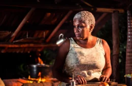 Companhia de Artes Bacaba promove exibição de filmes amazonenses no Teatro Gebes de Medeiros