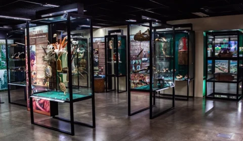 Museu do Homem do Norte celebra 40 Anos com imersão nos saberes e sabores da Amazônia
