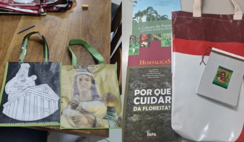 Tecnologia social reaproveita resíduos e gera renda em comunidades do Amazonas