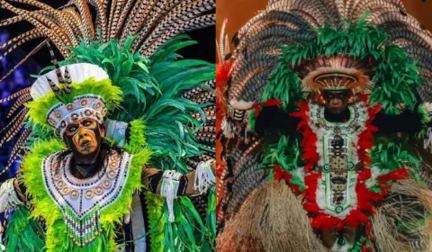 Conheça os 21 Itens Oficiais do Festival de Parintins