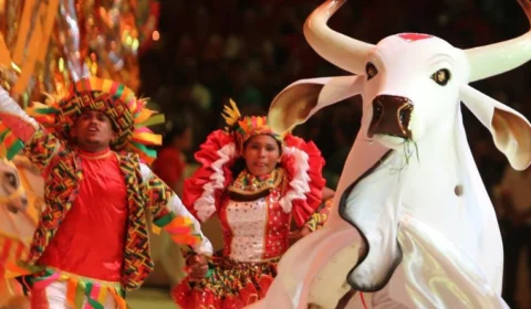 Boi Garantido é o campeão do Festival de Parintins 2025