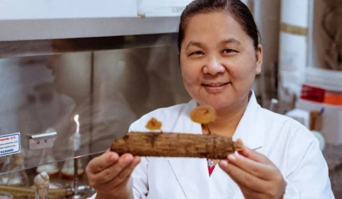 Manaus recebe roda de saberes gratuita que une arte, ciência e cultura amazônica