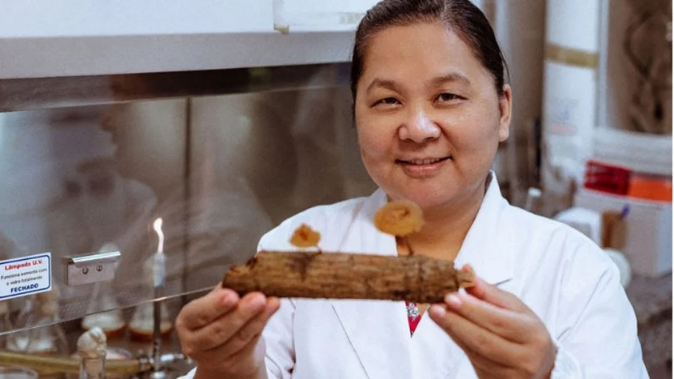 Manaus recebe roda de saberes gratuita que une arte, ciência e cultura amazônica