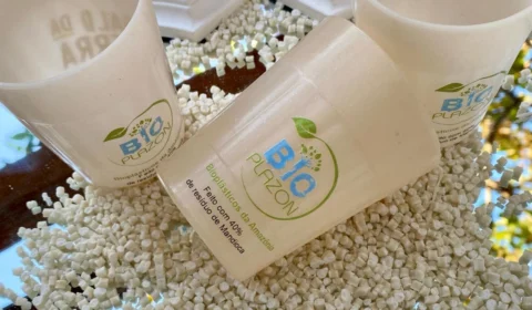 Do Lixo à Solução: Startup Amazônica Converte Resíduos em Embalagens Sustentáveis