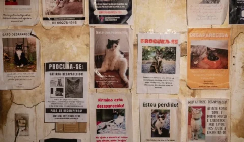 “Mata-Gato”: Curta de terror amazonense estreia dia 23 de julho