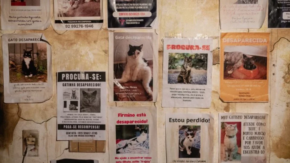 “Mata-Gato”: Curta de terror amazonense estreia dia 23 de julho