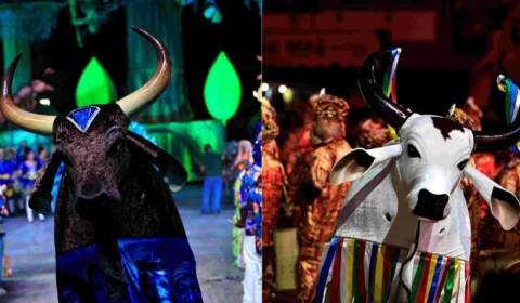 Sambódromo de Manaus recebe apresentações dos seis bumbás da capital neste fim de semana