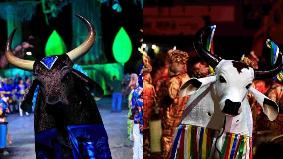 Sambódromo de Manaus recebe apresentações dos seis bumbás da capital neste fim de semana