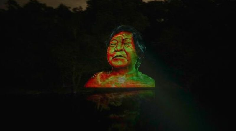 Floresta vira tela viva com arte urbana em projeções sobre as árvores do Rio Negro