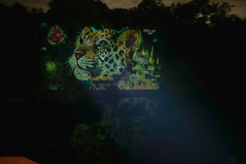 Floresta vira tela viva com arte urbana em projeções sobre as árvores do Rio Negro