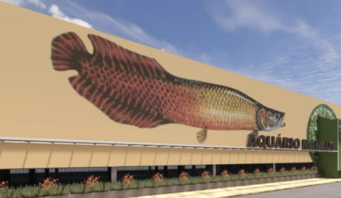 Manaus ganhará aquário de cinco andares com vista para o Rio Negro