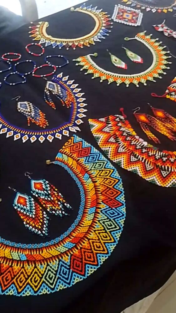 II Encontro de Tecnologia Social da Amazônia reforçou protagonismo regional e soluções sustentáveis no INPA