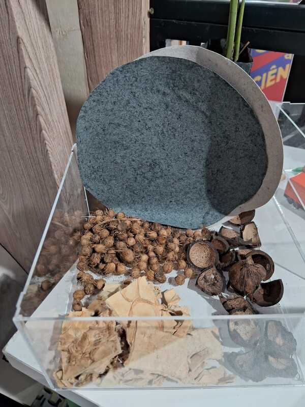 INPA é destaque com pesquisa, inovação e empreendedorismo na 77ª Reunião da SBPC em Recife