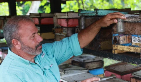 Circuito Dramel lança nova fase com arte, abelhas e agroecologia na Amazônia