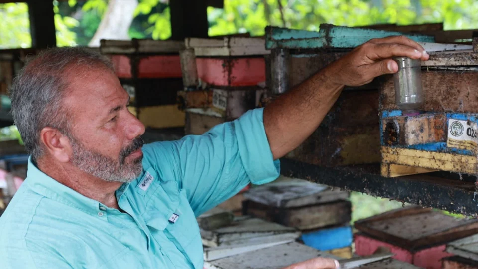 Circuito Dramel lança nova fase com arte, abelhas e agroecologia na Amazônia