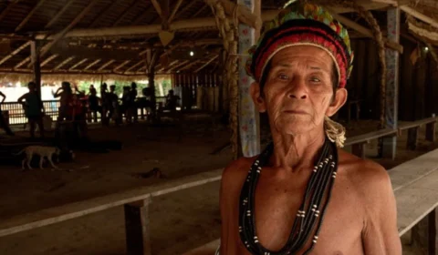 Série “Amazônia – Arqueologia da Floresta” conquista prêmio de Melhor Produção em festival