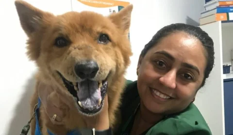 Dia Mundial do Cachorro alerta para cuidados com a saúde e prevenção do câncer em pets