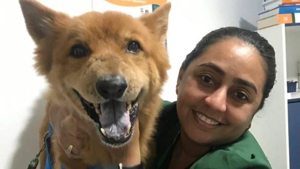 Dia Mundial do Cachorro alerta para cuidados com a saúde e prevenção do câncer em pets