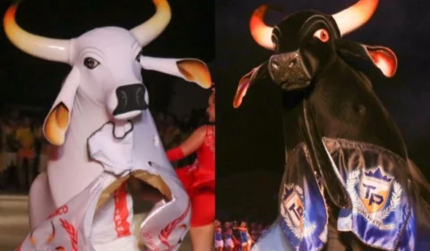 Touros Branco e Preto se apresentam neste sábado (09/08) no Largo de São Sebastião