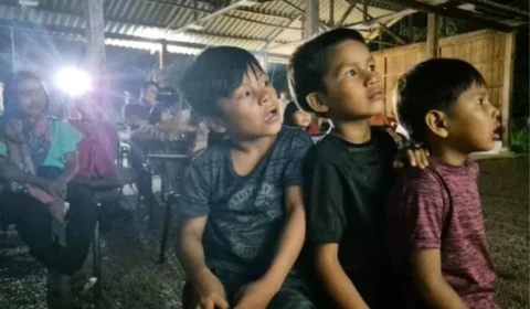 Festival de Cinema Olhar do Norte 2025 divulga filmes selecionados