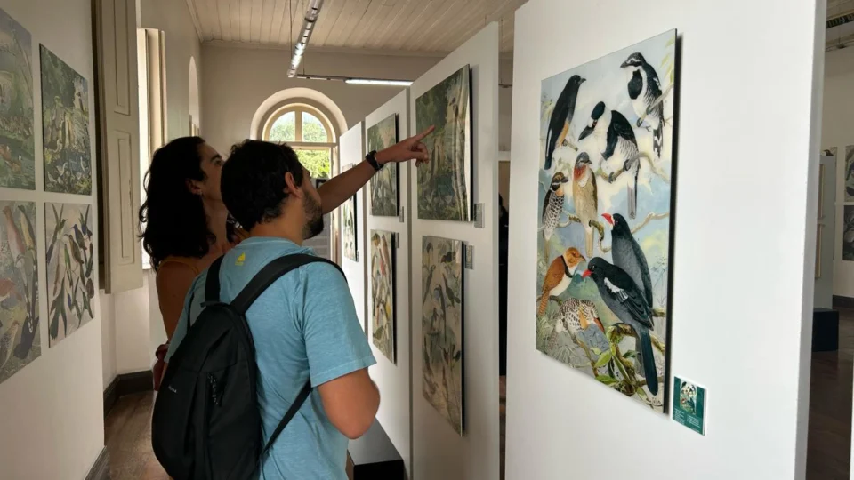 Exposição em Manaus celebra biodiversidade amazônica e laços entre Brasil e Suíça