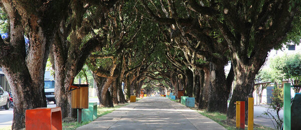 O que fazer em Itacoatiara: 9 pontos turísticos imperdíveis na Velha Serpa