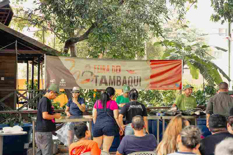 Feira do Tambaqui em Manaus traz pescado sustentável neste fim de semana.
