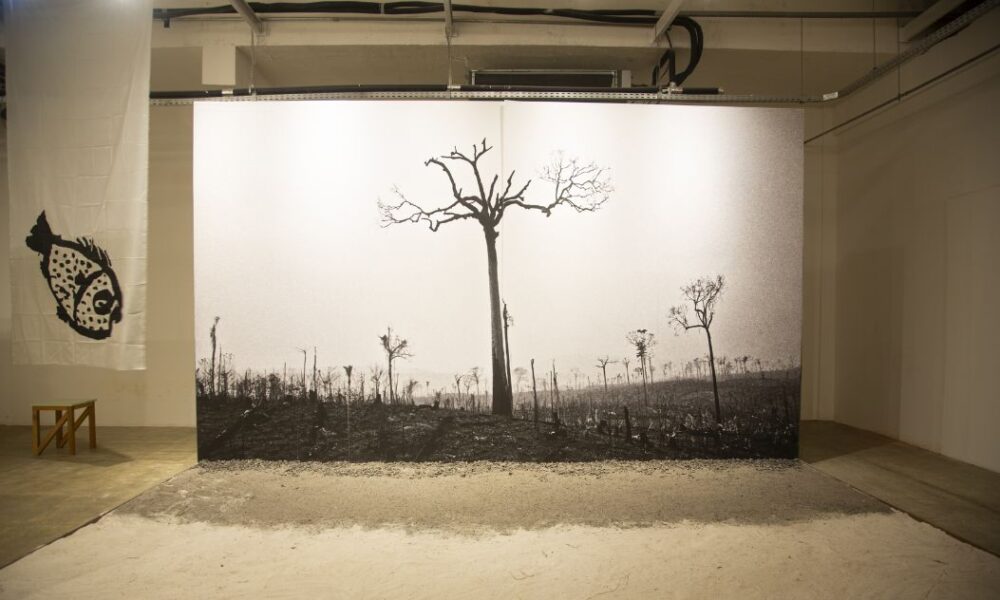 2ª Bienal das Amazônias lança Programa Público Germinantes em Belém