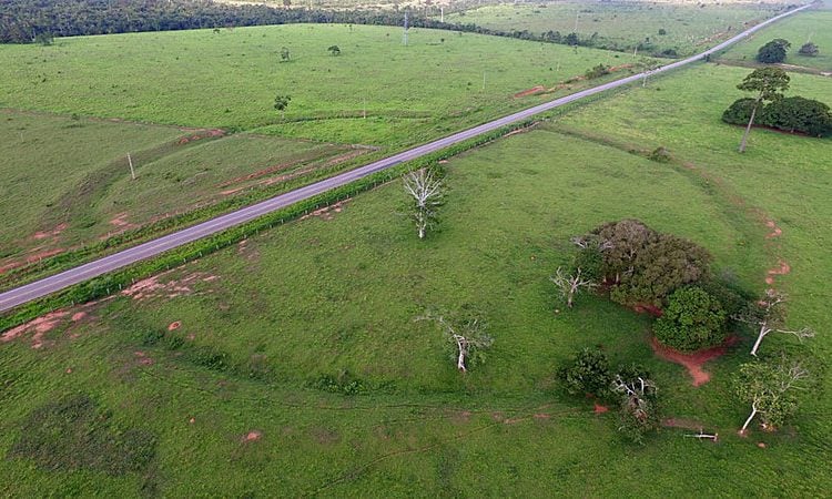 Geoglifos do Acre: tesouros arqueológicos que revelam a ancestralidade da Amazônia