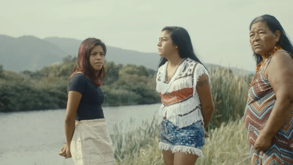 Do Amazonas a Niterói: ‘Itacoatiaras’ Mostra Conexões Entre Territórios e Legados Culturais