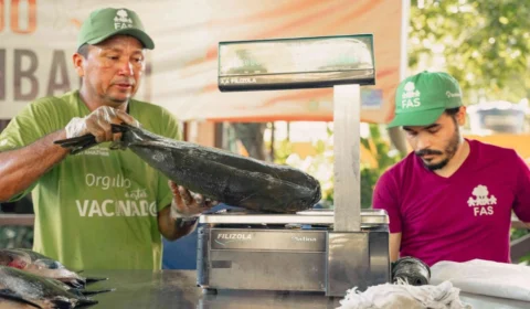 Feira do Tambaqui em Manaus traz pescado sustentável neste fim de semana.