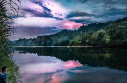 Encontro Internacional em Manaus debate nova liderança corporativa e organizações regenerativas na Amazônia
