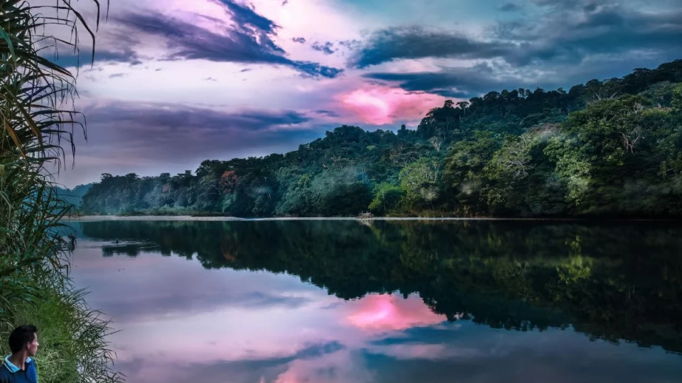 Encontro Internacional em Manaus debate nova liderança corporativa e organizações regenerativas na Amazônia
