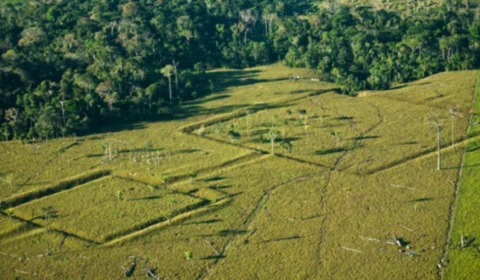 Geoglifos do Acre: tesouros arqueológicos que revelam a ancestralidade da Amazônia