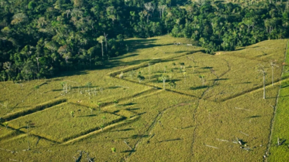 Geoglifos do Acre: tesouros arqueológicos que revelam a ancestralidade da Amazônia