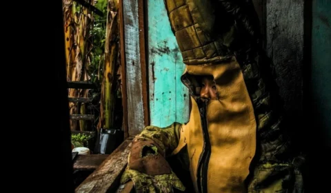 Amazônia ganha protagonismo na ArtRio com exposição Um Norte em Nós