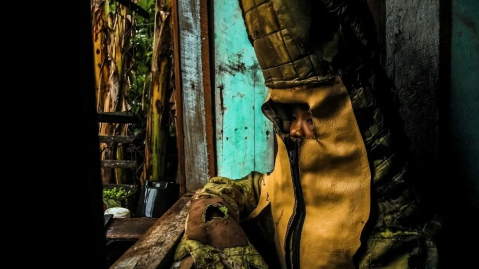 Amazônia ganha protagonismo na ArtRio com exposição Um Norte em Nós