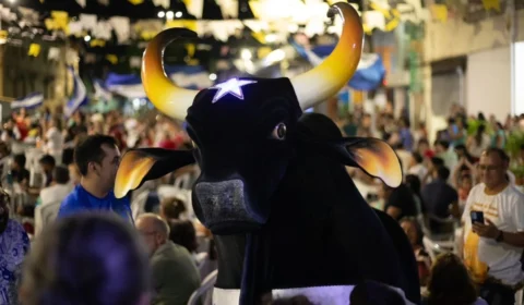 Boi Caprichoso celebra livros que preservam a história e a cultura da Nação Azul e Branca